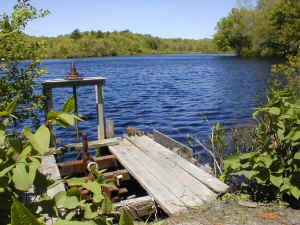 P5260021.JPG (469633 bytes)